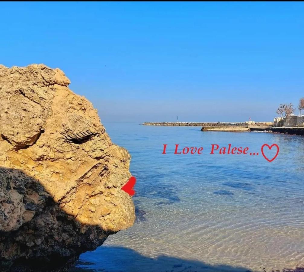 Nel Vicolo Daire Bari Dış mekan fotoğraf